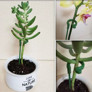 [🎉Summer Sale]  Upgrade Fiberglass Plant Support Stake