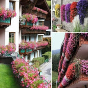 🔥🏡Vivid Artificial Hanging Orchid Bunch