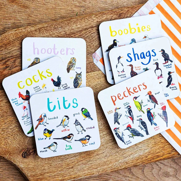 Last Day 47% OFF🐦Set of 6 Bird Pun Coasters