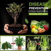 🔥Last Day Promotion Save 49%🔥 Soil Revitalization Treasures -- Create the Perfect Garden