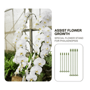 [🎉Summer Sale]  Upgrade Fiberglass Plant Support Stake