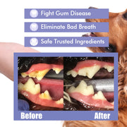 Teeth Cleaning Spray for Pet, Eliminate Bad Breath, Targets Tartar & Plaque