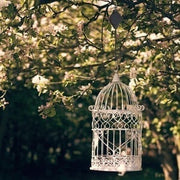 49% 0FF🌳Plant Pulley Set For Garden Baskets Pots, Birds Feeder