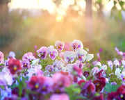 🌸Last Day 49% OFF-Outdoor Artificial Pansy Flowers💐
