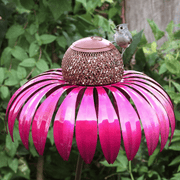 🔥LAST DAY 49% OFF🔥2023 Outdoor Flower Bird Feeder 🌹Spring Decoration💖