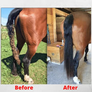 🔥Equine Care Mane & Tail Grooming Rake🔥