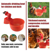 (💦EARLY SUMMER HOT SALE- 49% OFF💦)  🎉Automatic Poultry Water Bowl (5Pcs\/set) 💥 BUY 2 GET 1 FREE