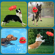 2024 Hot Sale⚽Pet Toy Flying Saucer Ball(49% OFF & BUY 2 FREE SHIPPING🔥)