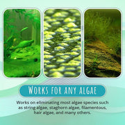 🔥Limited Time Sale 48% OFF🎉NEW Algae Repellent Agent